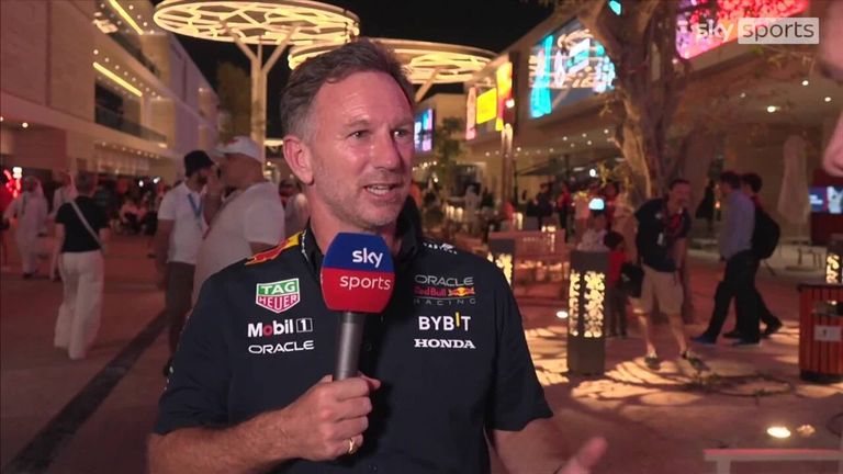 Le directeur de l'équipe Red Bull, Christian Horner, déclare qu'une 11ème équipe sur la grille est plus un problème pour la FIA que pour lui, mais que l'arrivée de General Motors en Formule 1 serait extrêmement positive. 